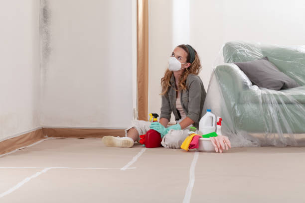Reliable Mold Remediation contractor in East Rutherford, NJ by Cheap Mold Removal